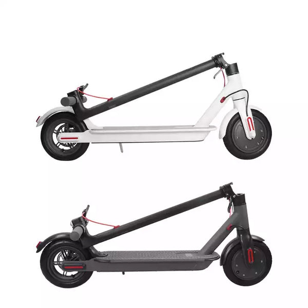 Electric Kick Scooter- 250W Motor